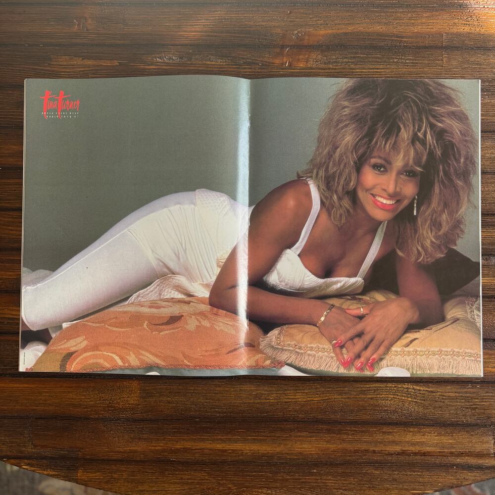 Tina Turner Break Every Rule World Tour 1987 Concert Program Original EUC - Picture 5 of 6